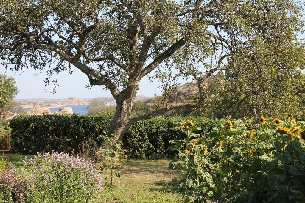 Ramsviks Overgard Albergue Hunnebostrand Exterior foto