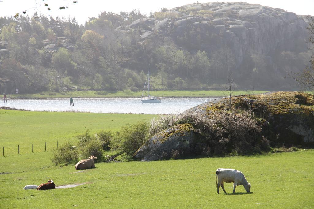 Ramsviks Overgard Albergue Hunnebostrand Exterior foto